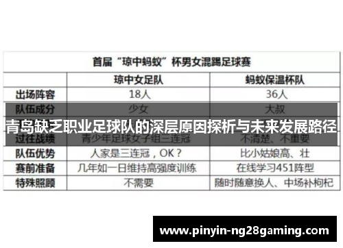 青岛缺乏职业足球队的深层原因探析与未来发展路径 青岛缺乏职业足球队的深层原因探析与未来发展路径