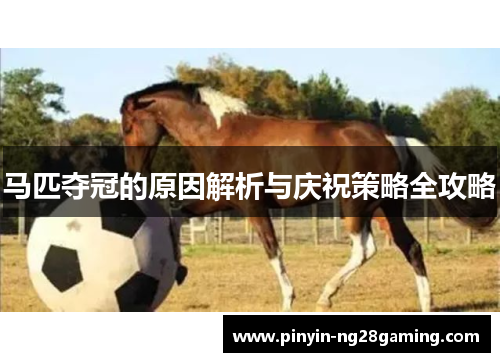 马匹夺冠的原因解析与庆祝策略全攻略