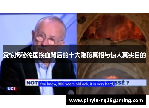震惊揭秘德国换血背后的十大隐秘真相与惊人真实目的